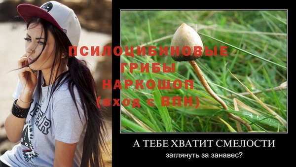 таблы Беломорск
